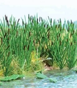 Walthers SceneMaster HO 949-4179 Cattails (60)